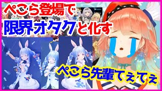 ぺこら登場で限界オタクと化す小鳥遊キアラ【こえていくホロライブ/ホロライブ切り抜き】