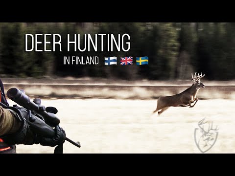 NH: Jakt på Vitsvanshjort i Finland | 2020