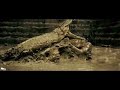 ONG BAK VS BUAYA Ong Bak 2