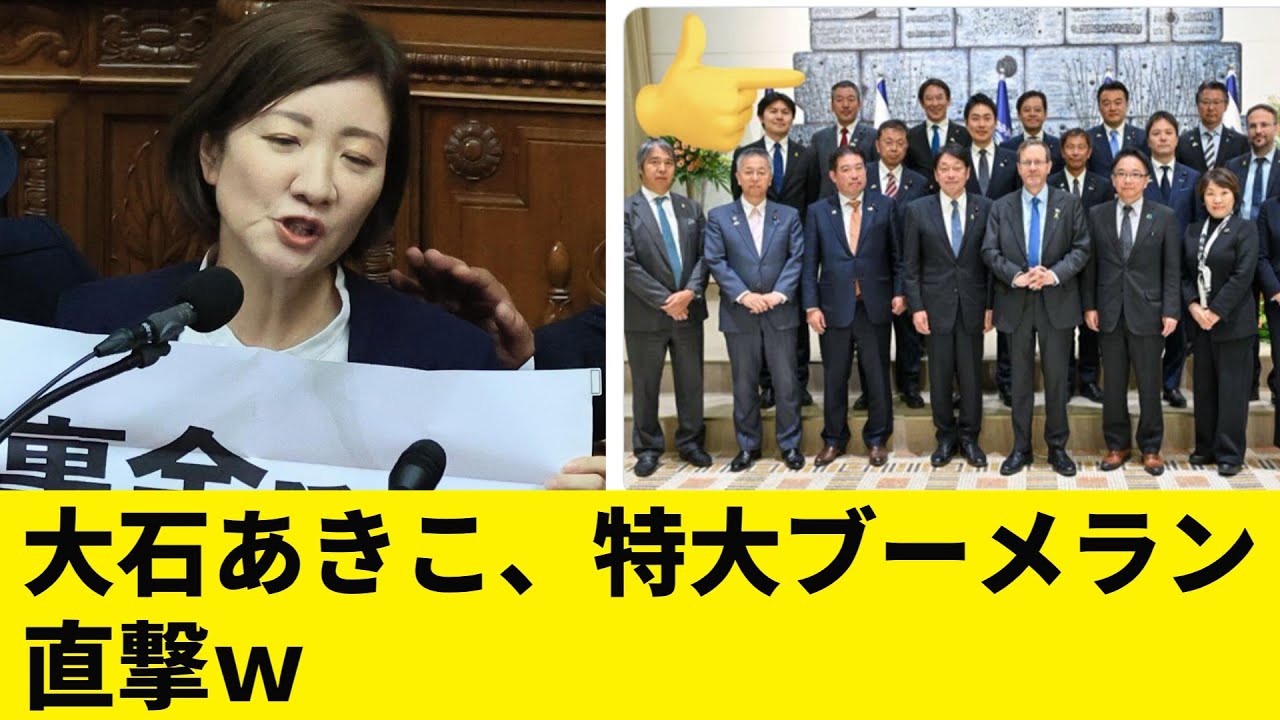 【れいわはないわ】自民党議員を批判した大石あきこに特大ブーメランｗ