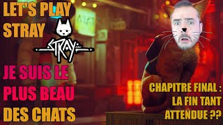 LET'S PLAY COMPLET : STRAY PARTIE 5 - LA FIN TANT ATTENDUE ??
