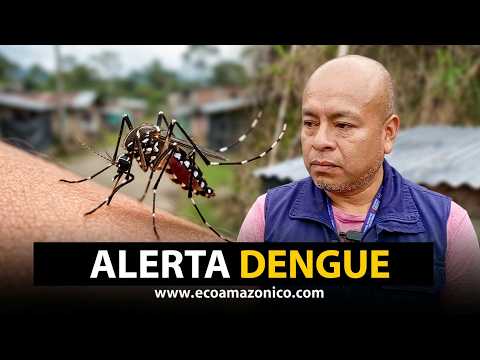 Ministerio de Salud intensifica controles contra el dengue en Pastaza