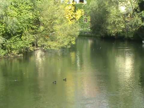 Munderkingen - Germany