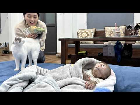 Unexpected Good News! Lala unexpectedly received money from Dad to renovate the house