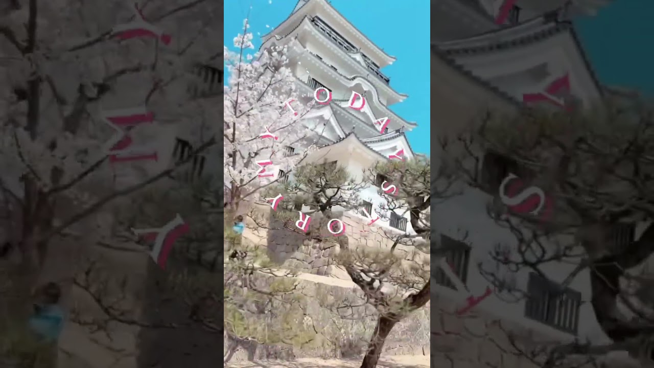 福山城のサクラ満開🌸　#桜 #お花見 #SAKURA  #広島県