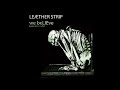 Leather Strip We Believe Cover