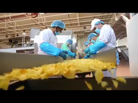 download lagu mp3 mp4 Bazaar Interiors Kuwait, download lagu Bazaar Interiors Kuwait gratis, unduh video klip Bazaar Interiors Kuwait