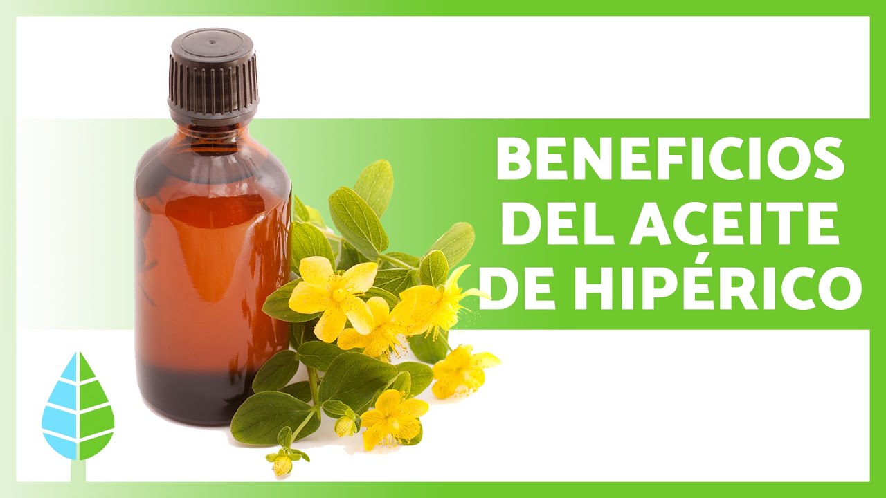 Para qué SIRVE el ACEITE de HIPÉRICO 🌼✅ (Propiedades, BENEFICIOS y Cómo Hacerlo)