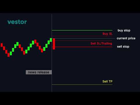 Video Vestor Panda Auto News Trader