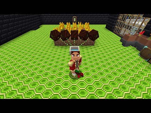 Racing The Yogscast To Jaffa Factory With Magic: 23 (NOW YOGSCAST DUNCAN APPROVED!)