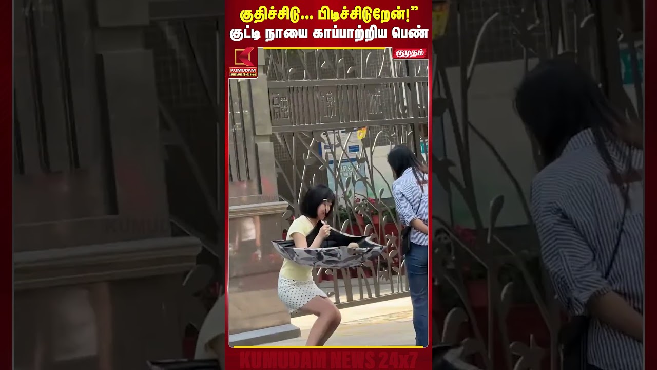 குதிச்சிடு... பிடிச்சிடுறேன்!” குட்டி நாயை காப்பாற்றிய பெண் | China | Animal Rescue | Cute Dog
