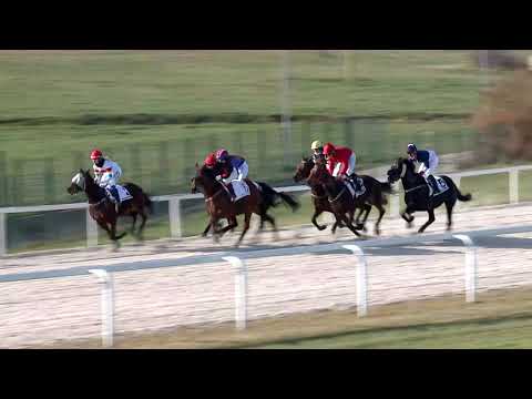 2020.11.29. 02. futam - KEDVESI JÓZSEF EMLÉKVERSENY HENDIKEP (III.o.) (szintetikus pálya)