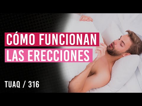 Cómo funcionan las erecciones