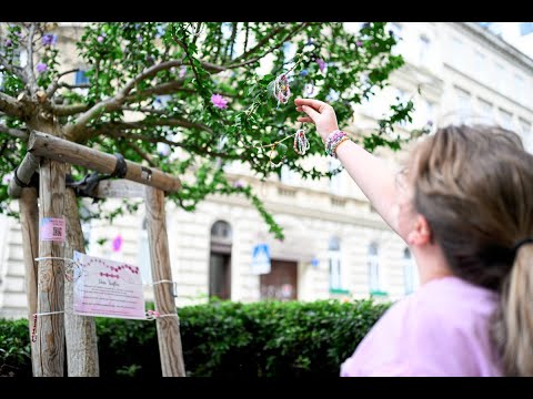 Konzert-Absage: Gemeinsam trauern unterm Swift-Baum