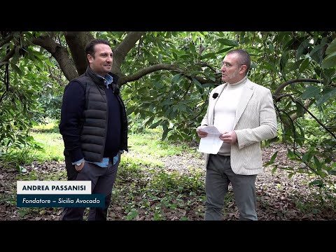 video media thumbnail