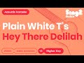 Plain White T S Hey There Delilah Higher Key Karaoke Acoustic