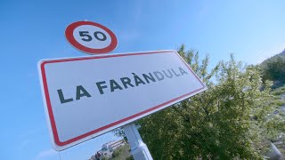 Sexenni - La Farandula