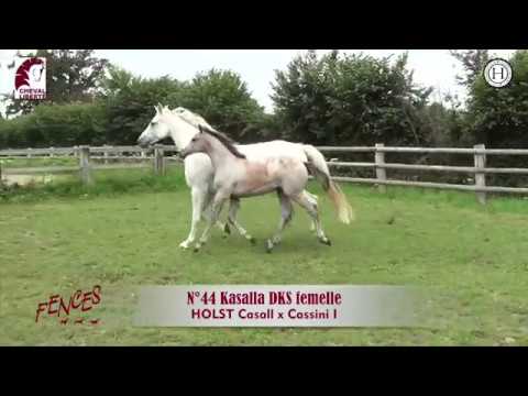 Kasalla DKS (Casall - Cassini I - Lansing)