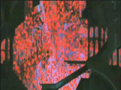 Utena & Shizuma - Airplanes