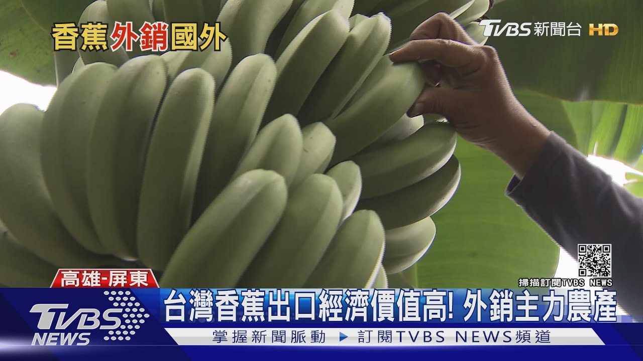 台灣「這款水果」很厲害! 賣到杜拜、日本視為高價水果