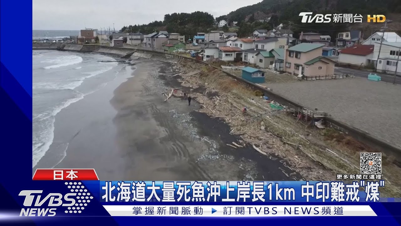 北海道大量死魚沖上岸長1.5km!中印難戒「煤」