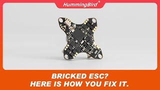 Bricked ESC? Here is how you fix it | A NewBeeDrone Tutorial