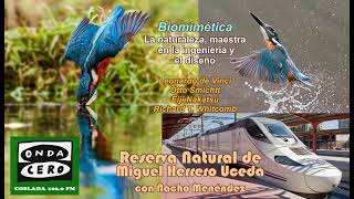 Miniatura de YouTube para: Biomimética