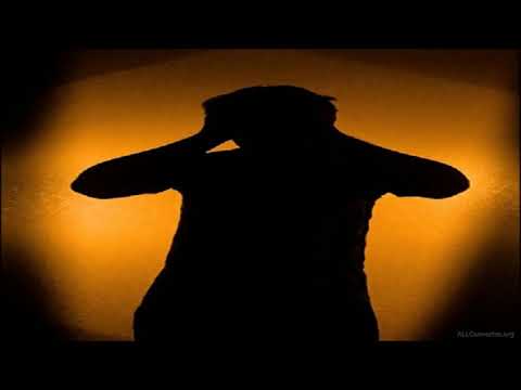 OBJAWY NERWIC I ZABURZEŃ LĘKOWYCH - Odburzanie według DivoVica S1 e2