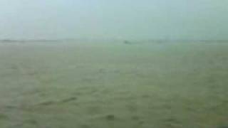 [討論] 到底這個淹水嘲笑風氣什麼時候開始的