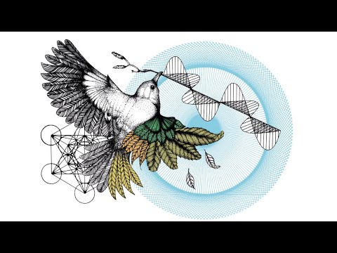 The Quantum Underpinning of Life - Prof. Johnjoe McFadden [Zoom seminar at Biozentrum, Basel]