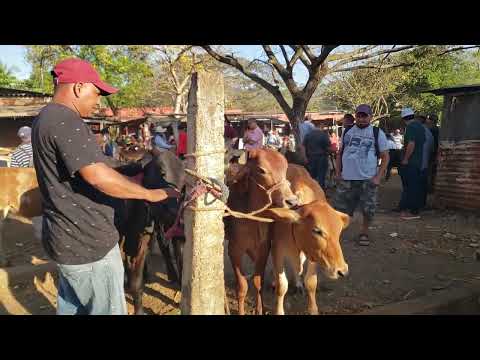 Nueva Guadalupe, San Miguel, El Salvador, miércoles 04 de marzo 2026