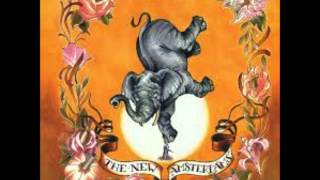 Fountain of Youth by the New Amsterdams (At The Foot of My Rival)