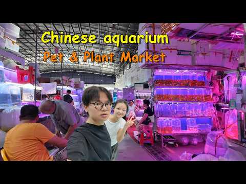 How I Survived After Losing My Job 🐟️  China’s Mega Pet & Plant Market