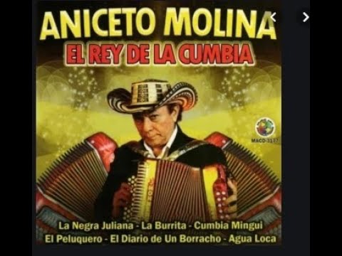 MIX DE ANICETO MOLINA