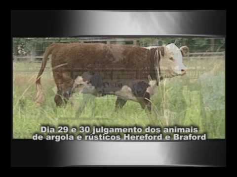 COMERCIAL DA EXPOSIÇAO NACIONAL DE HEREFORD 2008