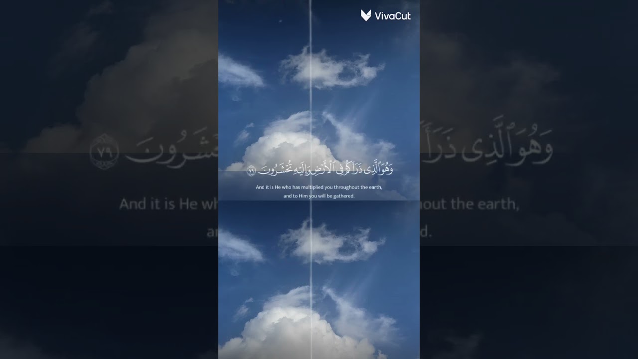 "أفلا تعقلون؟.. آيات تتجلى فيها عظمة الخالق في النفس والكون"