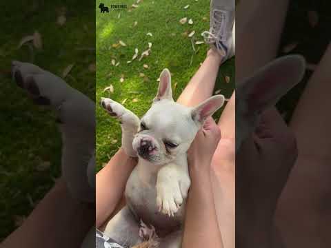 Video 2