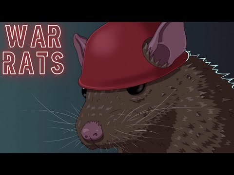 Просмотреть видео