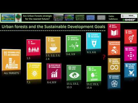 Urban and peri-urban forests and green spaces and the Sustainable Development Goals: A Tree Talk