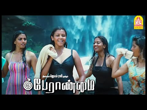 காட்டுக்குள்ள போறாங்க | Super Scenes | Peranmai Tamil Movie | Jayam Ravi | Vadivelu