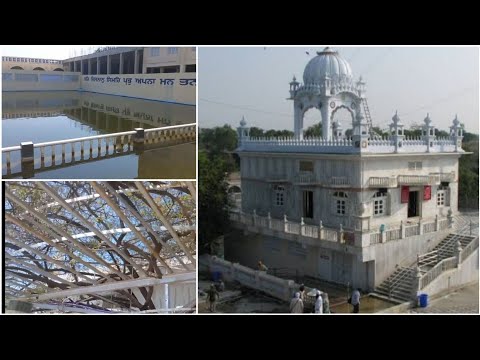 Nanaksar Sahib | Hazur Sahib Nanded | Ber tree | Complete Guide #SukhiPajji