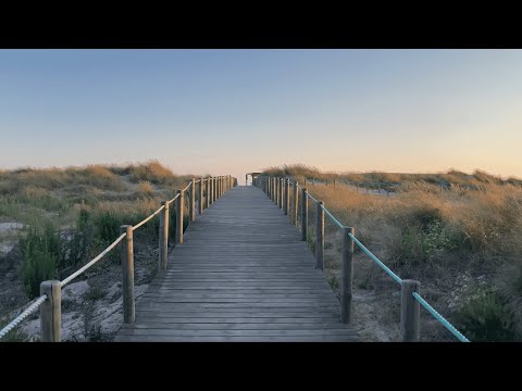 Windsurf trip Portugal & Galicia - July 2022