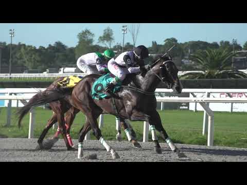 210228 c04 TINTINTIN