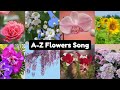 Flower Alphabet Song A To Z Flowers For Kids Fun Learning With Bugpapa