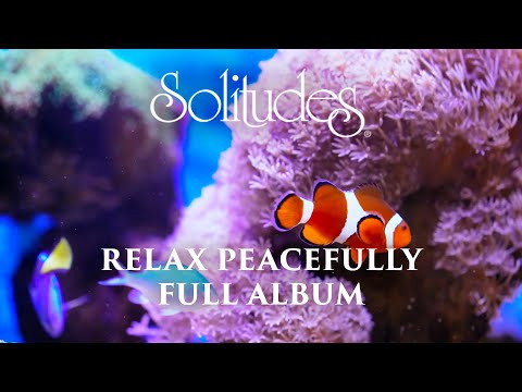 1 hour of Relaxing Music: Dan Gibson’s Solitudes - Relax Peacefully (Full Album)
