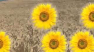 The Lemonheads-Brass buttons