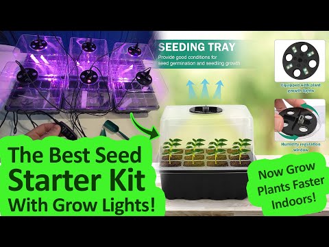 Give UR Plants Steroids! RIOGOO 6 Pack Seed Starter Tray with Grow Light Review - Seed Starter Kit