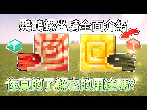 从零到大师！Minecraft1.21.11鹦鹉螺 & 僵尸鹦鹉螺全面解析！首个水下坐骑！水下无限呼吸、繁殖机制一次讲清楚