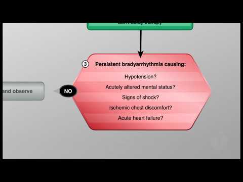 ACLS .Bradycardia