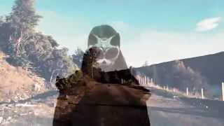 Complete Radio Silence - Cat Driver